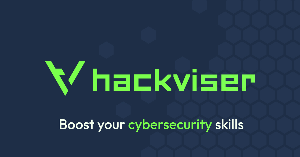 Hackviser preview