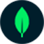 MongoDB Murder Mystery icon